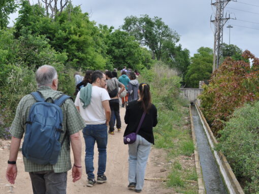 Hortes de Tarragona. Traçar, cuidar i recuperar